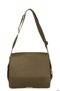 Louis Vuitton Viktor Taiga Grizzly